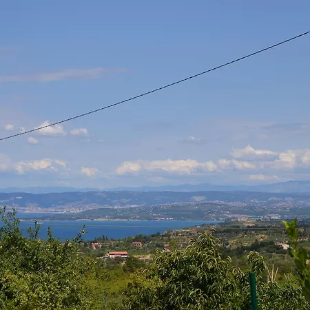 Apartman Malija *